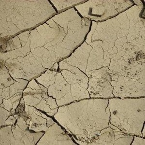Half of American counties classified as disaster areas