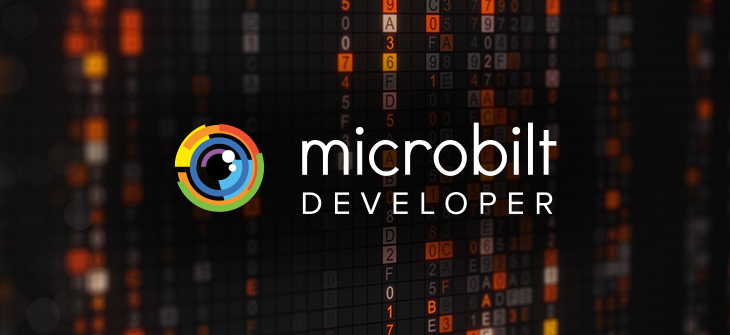 Alternative credit pioneer invites developers to access data through API offering