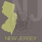 Controversy over New Jersey town's CFO