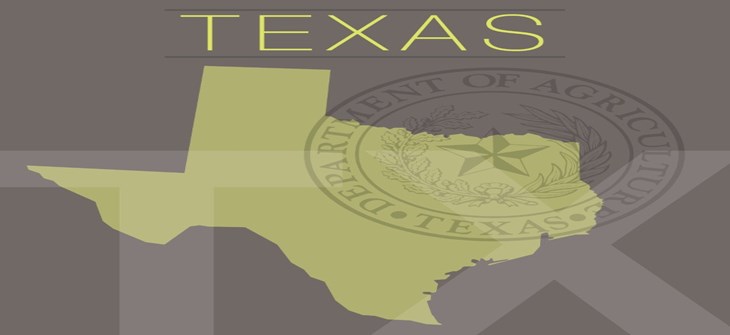 San Antonio short term lenders could face more regulations