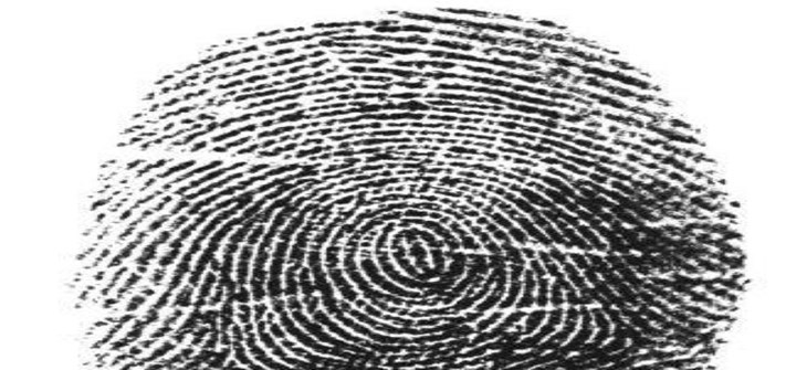 EEOC to re-examine criminal background screening